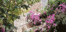 Vacation Rentals By Owner In Israel